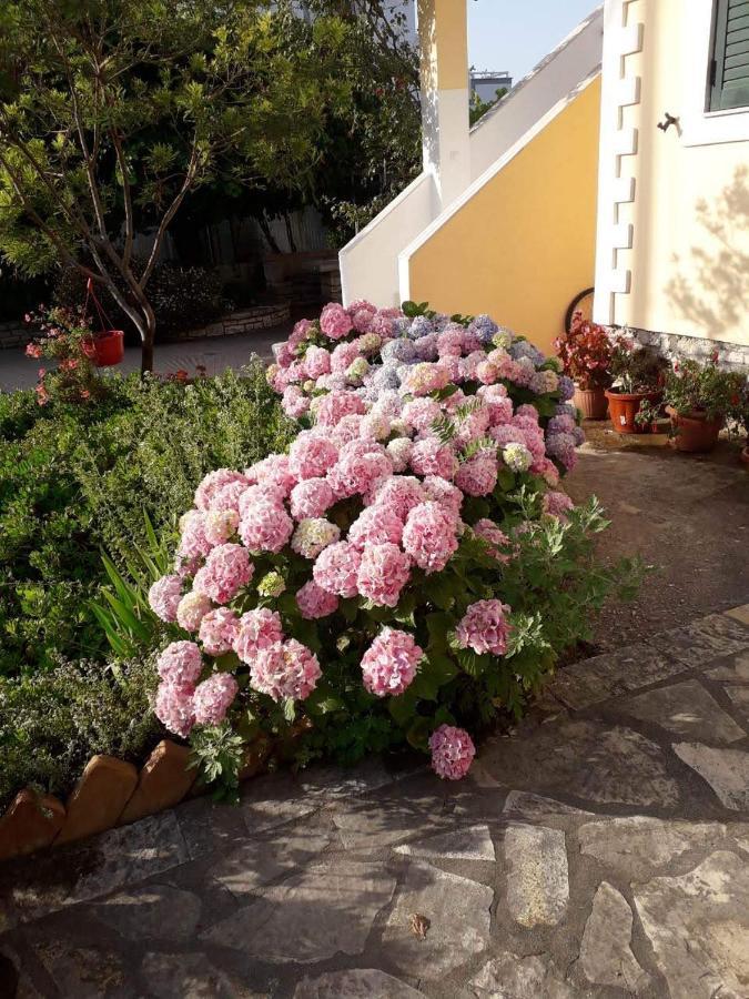 Villa Violeta Εξαμίλιο Εξωτερικό φωτογραφία
